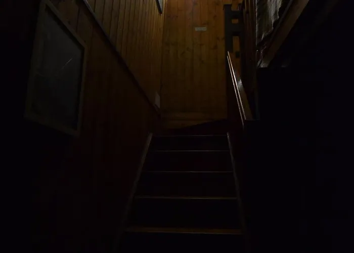 Mingos Lodio Di Là Carpineta